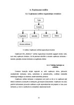 Biznesa plāns 'SIA "Bedstraw" biznesa plāns', 33.