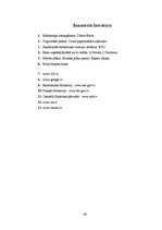 Biznesa plāns 'SIA "Bedstraw" biznesa plāns', 44.