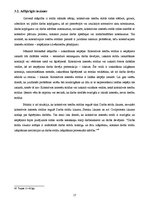 Referāts 'Kolektīvo darba strīdu izskatīšanas kārtība', 17.