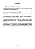 Referāts 'Kolektīvo darba strīdu izskatīšanas kārtība', 18.