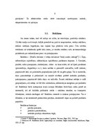 Diplomdarbs 'Elektroniskās mūzikas festivāla "Shine Fest" mārketinga komunikācijas analīze un', 9.