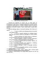 Diplomdarbs 'Elektroniskās mūzikas festivāla "Shine Fest" mārketinga komunikācijas analīze un', 21.