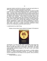 Diplomdarbs 'Elektroniskās mūzikas festivāla "Shine Fest" mārketinga komunikācijas analīze un', 24.