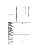 Diplomdarbs 'Elektroniskās mūzikas festivāla "Shine Fest" mārketinga komunikācijas analīze un', 27.