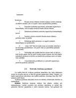 Diplomdarbs 'Elektroniskās mūzikas festivāla "Shine Fest" mārketinga komunikācijas analīze un', 28.