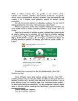 Diplomdarbs 'Elektroniskās mūzikas festivāla "Shine Fest" mārketinga komunikācijas analīze un', 29.