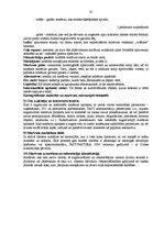 Referāts 'Jaunu tūrisma produktu izstrādāšana un ieviešana tirgū', 35.