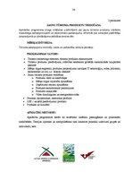 Referāts 'Jaunu tūrisma produktu izstrādāšana un ieviešana tirgū', 36.