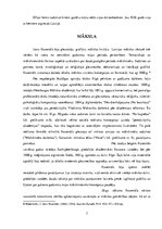 Referāts 'Janis Rozentāls', 7.