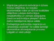 Prezentācija 'Iedzīvotāju dabiskā un mehāniskā kustība Latgalē', 13.