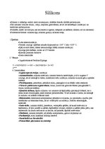 Konspekts 'Silikons', 1.