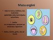 Prezentācija 'Maņu orgāni, to loma saskarsmē ar vidi', 3.