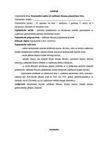 Diplomdarbs 'Экономический анализ как база принятия управленческих решений', 5.