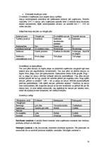 Konspekts 'Ekonomika un tās būtība', 16.