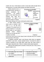 Referāts 'Step un ūdens aerobika', 13.