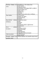 Referāts 'Ekoloģija un cilvēka veselība', 12.