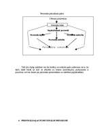 Referāts 'Darbs ar personālu un grāmatvedības plānošana', 8.