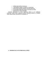 Referāts 'Darbs ar personālu un grāmatvedības plānošana', 13.