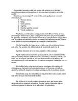 Referāts 'Darbs ar personālu un grāmatvedības plānošana', 14.