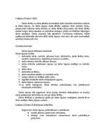 Referāts 'Darbs ar personālu un grāmatvedības plānošana', 17.