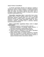 Referāts 'Darbs ar personālu un grāmatvedības plānošana', 31.