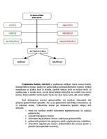 Referāts 'Darbs ar personālu un grāmatvedības plānošana', 40.