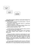 Referāts 'Darbs ar personālu un grāmatvedības plānošana', 46.