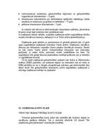 Referāts 'Darbs ar personālu un grāmatvedības plānošana', 50.