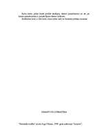 Referāts 'Darbs ar personālu un grāmatvedības plānošana', 53.