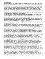 Eseja 'Harley-Davidson', 1.