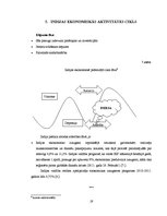 Referāts 'Indijas un Latvijas starptautiskie ekonomiskie sakari', 19.