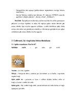 Konspekts 'Domāšana', 3.