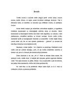 Referāts 'Vides ētika', 1.