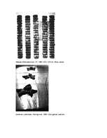 Konspekts 'Performances aizsākumi Lietuvā', 7.