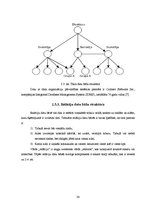 Diplomdarbs 'WEB orientēto tehnoloģiju izmantošana virtuāla loģistikas centra koncepcijā', 30.