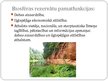 Prezentācija 'Latvijas biosfēras rezervāti. Dabas rezervāti', 3.