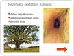Prezentācija 'Latvijas biosfēras rezervāti. Dabas rezervāti', 7.