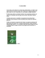 Referāts 'Nanotehnoloģijas', 12.