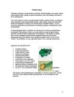 Referāts 'Nanotehnoloģijas', 13.