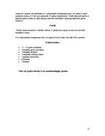 Referāts 'Nanotehnoloģijas', 22.