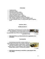 Referāts 'Nanotehnoloģijas', 24.