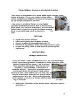 Referāts 'Nanotehnoloģijas', 28.