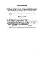 Referāts 'Nanotehnoloģijas', 29.