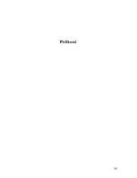 Referāts 'Nanotehnoloģijas', 32.