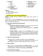 Konspekts 'Histoloģija - konspekts RSU 1.kursam', 3.