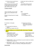 Konspekts 'Histoloģija - konspekts RSU 1.kursam', 8.