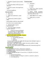 Konspekts 'Histoloģija - konspekts RSU 1.kursam', 14.