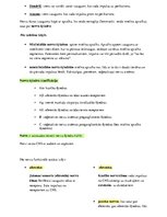 Konspekts 'Histoloģija - konspekts RSU 1.kursam', 16.