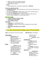 Konspekts 'Histoloģija - konspekts RSU 1.kursam', 24.