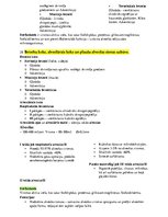 Konspekts 'Histoloģija - konspekts RSU 1.kursam', 25.